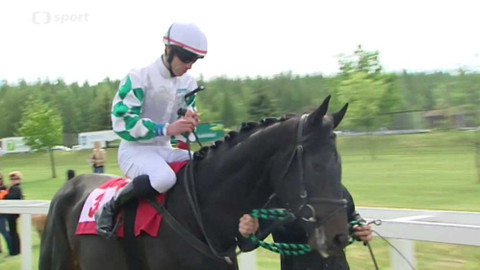 Turf - 18. května 2016