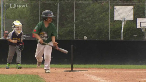 Sport v regionech - First Cup, Brno