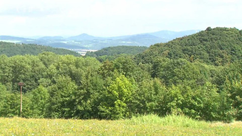 Nedej se! - Budeme smět do lesa?