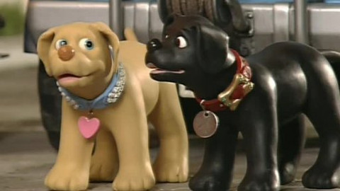 Merlin, kouzelné štěňátko - 16/26 Merlin a zlatá medaile