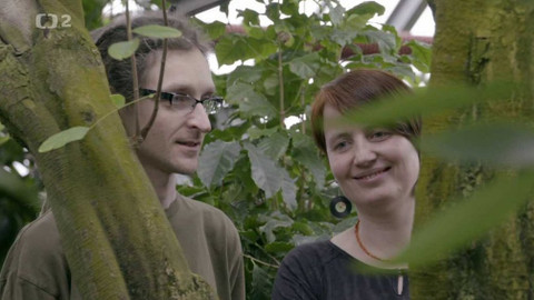 Nedej se! - Manifest jiné práce