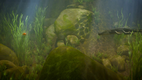 Esa z pralesa - 33/52 Juniorův první úlovek