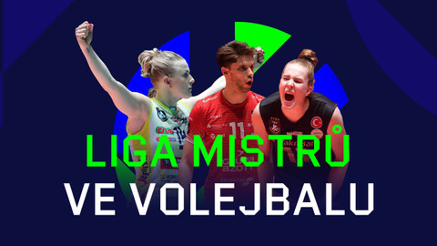 Liga mistrů ve volejbalu