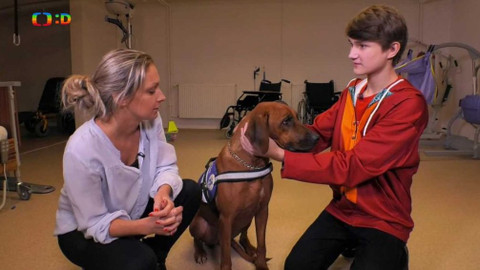 Wifina - 17. ledna 2020