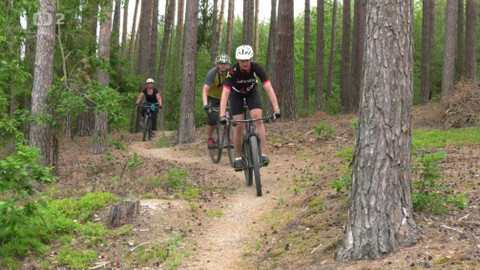 Cyklotoulky - Boskovice a okolí