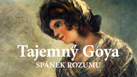 Tajemný Goya: spánek rozumu