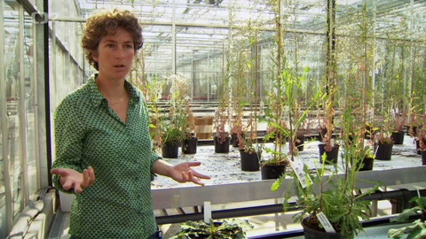 Evropa dnes - Semena pro budoucnost