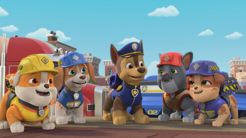 Rubble a jeho parta - Parta s Chasem řeší detektivní případ!