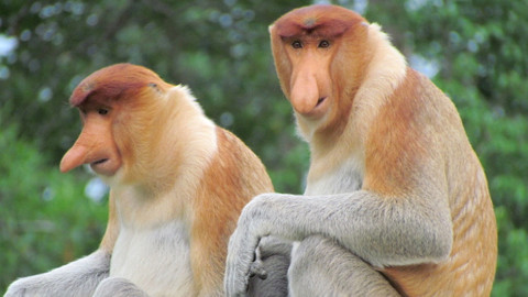 Chcete mě? - 30. listopadu 2014