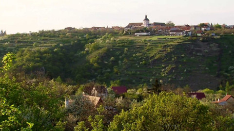 Minuty z přírody - Hradišťské terasy