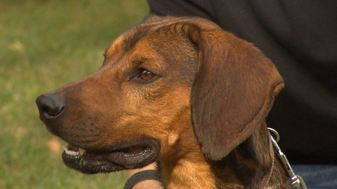 Chcete mě? - Chcete je?