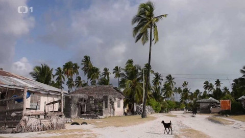 Objektiv - 21. července 2019