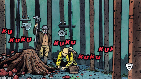 Na houby - 2/13 Hitparáda hřibů