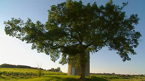 Putování za vínem - 6/16 Francie - Jihozápad