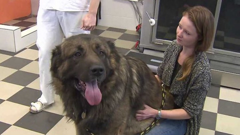 Chcete mě? - 5. února 2017