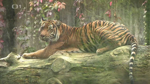 Týden v regionech (Brno) - 1. října 2022