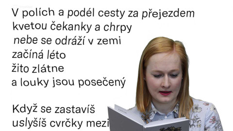 Jedna báseň - Anna Štičková