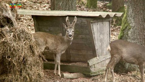 Novinky z přírody - Epizoda 1/53
