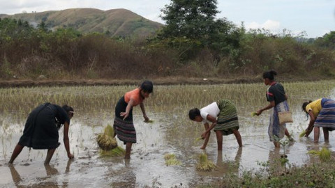 Ostrovy Christiana Karembeua - 3/6 Haida Gwaii