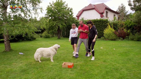 Cvičení se Lvíčaty - Epizoda 54/60