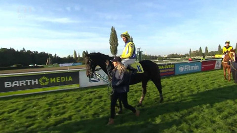 Velká pardubická - 125. Velká pardubická