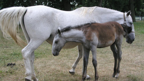 Chcete mě? - 2. června 2019