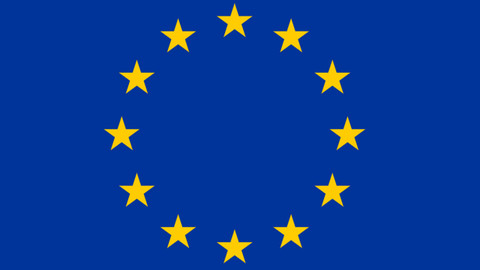 Mimořádné pořady ČT24 - Debata před volbami do EP