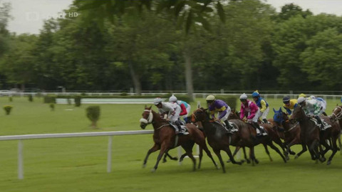 Dostihy - 4. Turf-gala