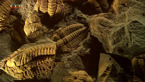 Zprávičky - 10. února 2022