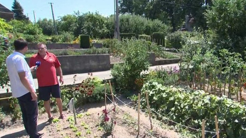 Týden v regionech (Ostrava) - 11. srpna 2018