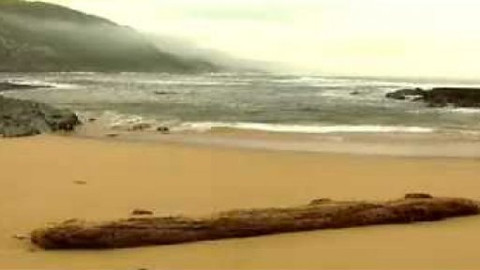 Na cestě - Na cestě po východním pobřeží Jihoafrické republiky