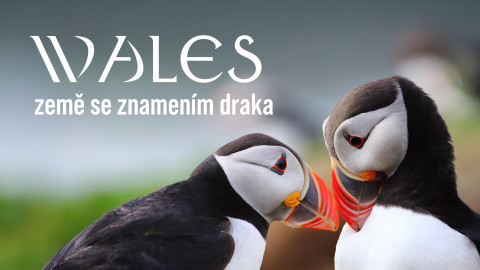 Wales - země se znamením draka