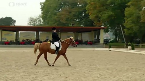 Jezdectví - M ČR v paradrezuře 2014 Hradištko