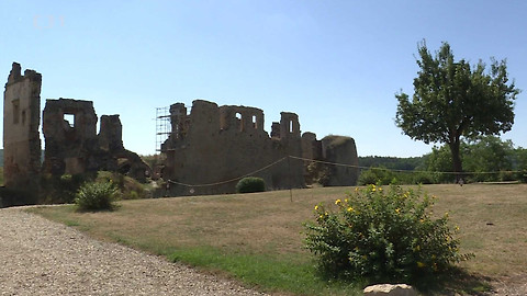 Toulavá kamera - 23. srpna