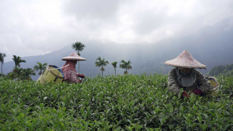 Objektiv - 8. června