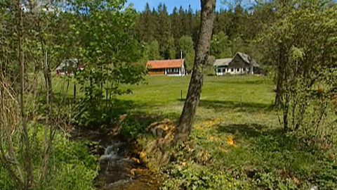 Na konci světakraje