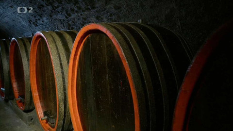 Krajinou vína - 1/10 Frankovka - kolem Dolních Kounic