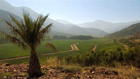 Putování za vínem - 7/16 Chile II