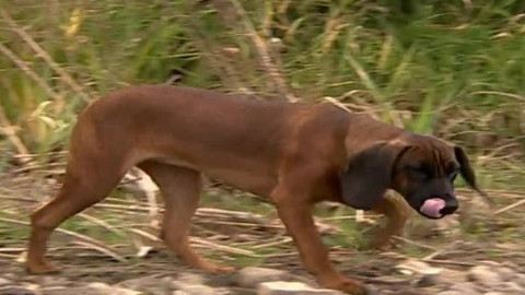 Madla a Ťap - 13/13 Jak se shledali