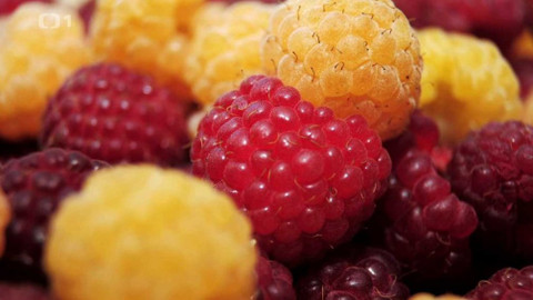 Polopatě - 25. října 2020