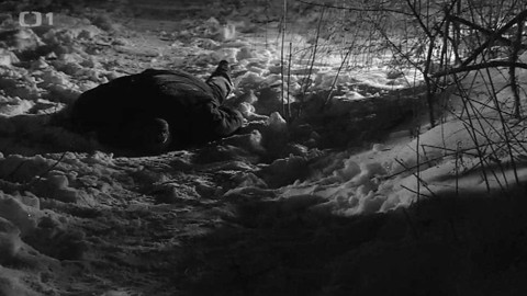 Přísně tajné vraždy - Útok ze křoví