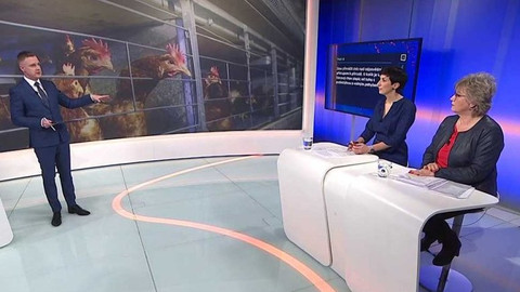 90’ ČT24 - Vyšší tresty za týrání zvířat?