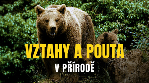 Vztahy a pouta v přírodě