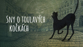 Sny o toulavých kočkách