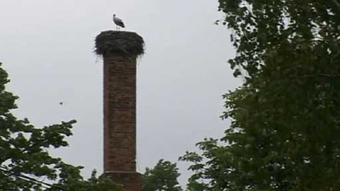 Objektiv - 29. června 2014