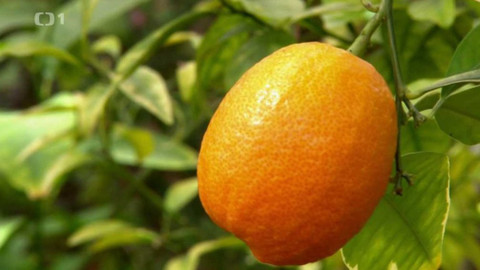 Polopatě - 23. května 2021