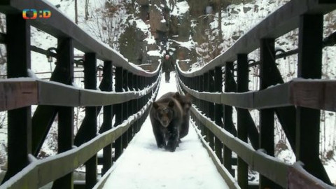 Méďové na cestách - 29/43 Bečovsko