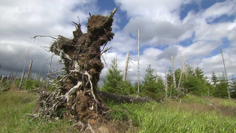 Nedej se! - Šumava... Klid před bouří?