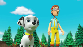 Tlapková patrola IV