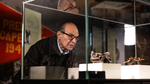 Na cestách s Agathou Christie a Davidem Suchetem - Nový Zéland